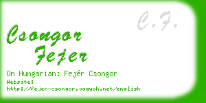 csongor fejer business card