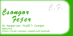 csongor fejer business card